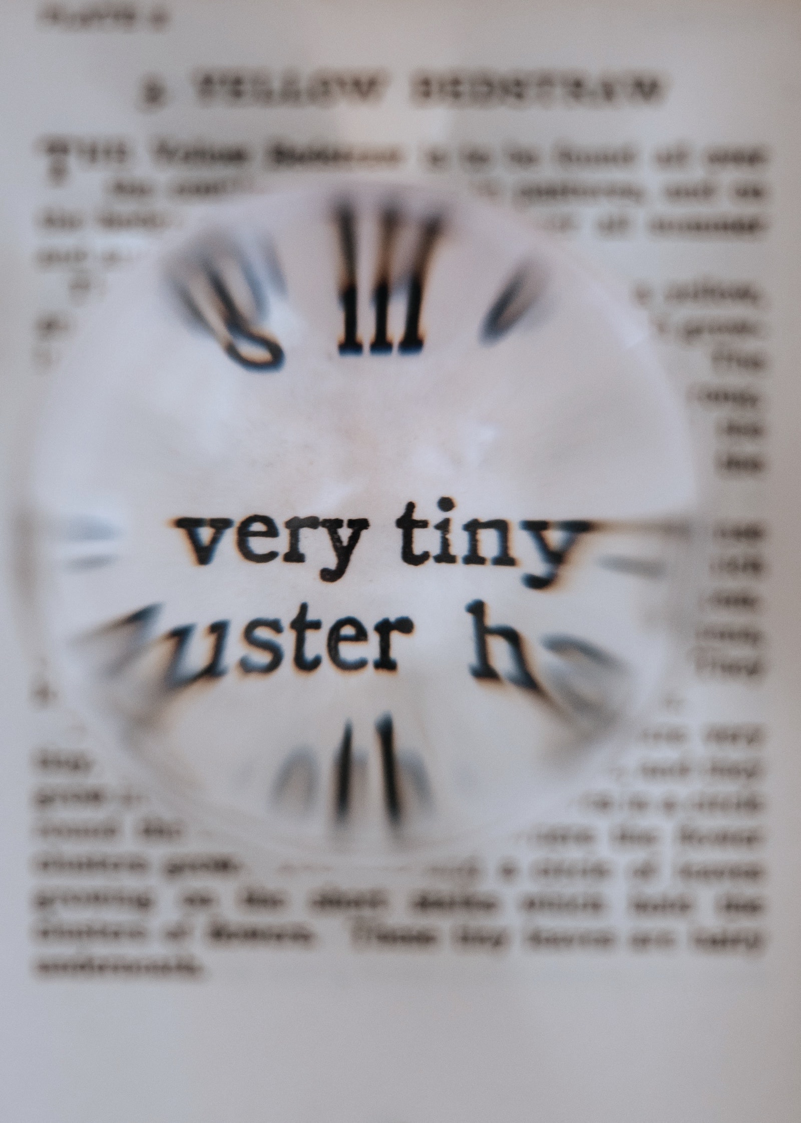annie-spratt-eIlJ2CtQezU-unsplash